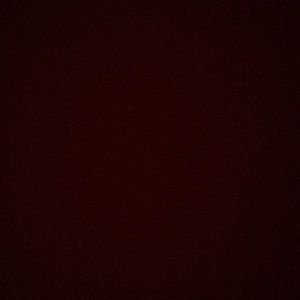 Meet your Posher, Tyra